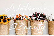 Tialmons, a Script Font by Integritype Studio (Thumbnail 5 of 15)