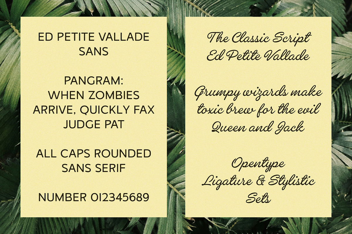 ED Petite Vallade - Font Duo, a Script Font by Emyself Design (Photo 4 of 12)