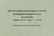 Wilkeson Modern Serif Typeface, a Serif Font by Design 265 (Thumbnail 4 of 5)