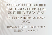 Carmela-Modern and elegant typeface, a Serif Font by ToniStudio (Thumbnail 8 of 10)