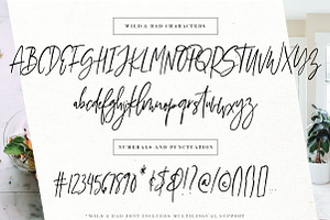 Wild & Rad Handwritten Script Font