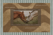 Orvian · Playful Textured Papers, a Background Graphic by alonahaidash (Thumbnail 5 of 14)