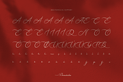 Nellysia Sorettein Calligraphy, a Script Font by Denustudios (Thumbnail 12 of 13)