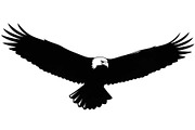 50 Flying Eagle Silhouette Vector Bu, an Illustration by Designs_River (Thumbnail 26 of 51)