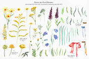 Wildflower Watercolor Collection, a Decorative Illustration by Anna Druzhkova (Thumbnail 3 of 23)