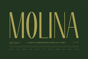 Molina Modern Sans Serif Font