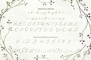 Ranessa Script, a Script Font by JNJ Studio (Thumbnail 9 of 10)