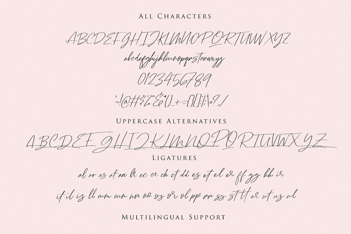 Ramstay Script preview 7