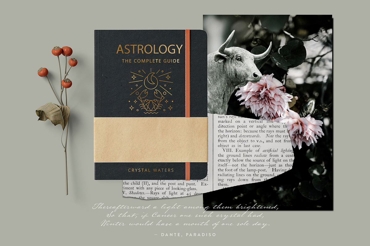 Zodiac Signs and Constellations, an Outline Icon by Pixejoo (Photo 3 of 10)