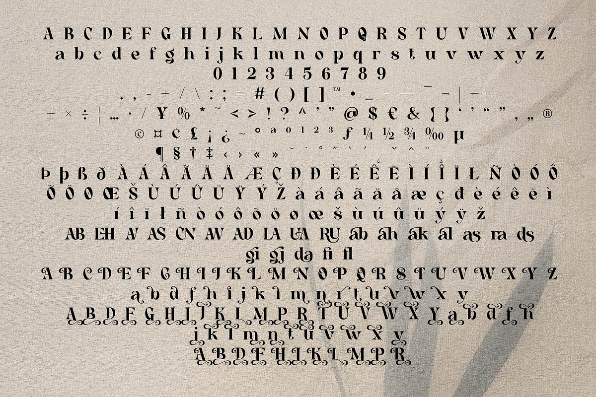 Cehua – Elegant Display Font, a Serif Font by AuthenType (Photo 8 of 10)