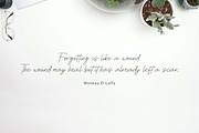 Pacifista, a Script Font by Zelda Graphic (Thumbnail 3 of 6)