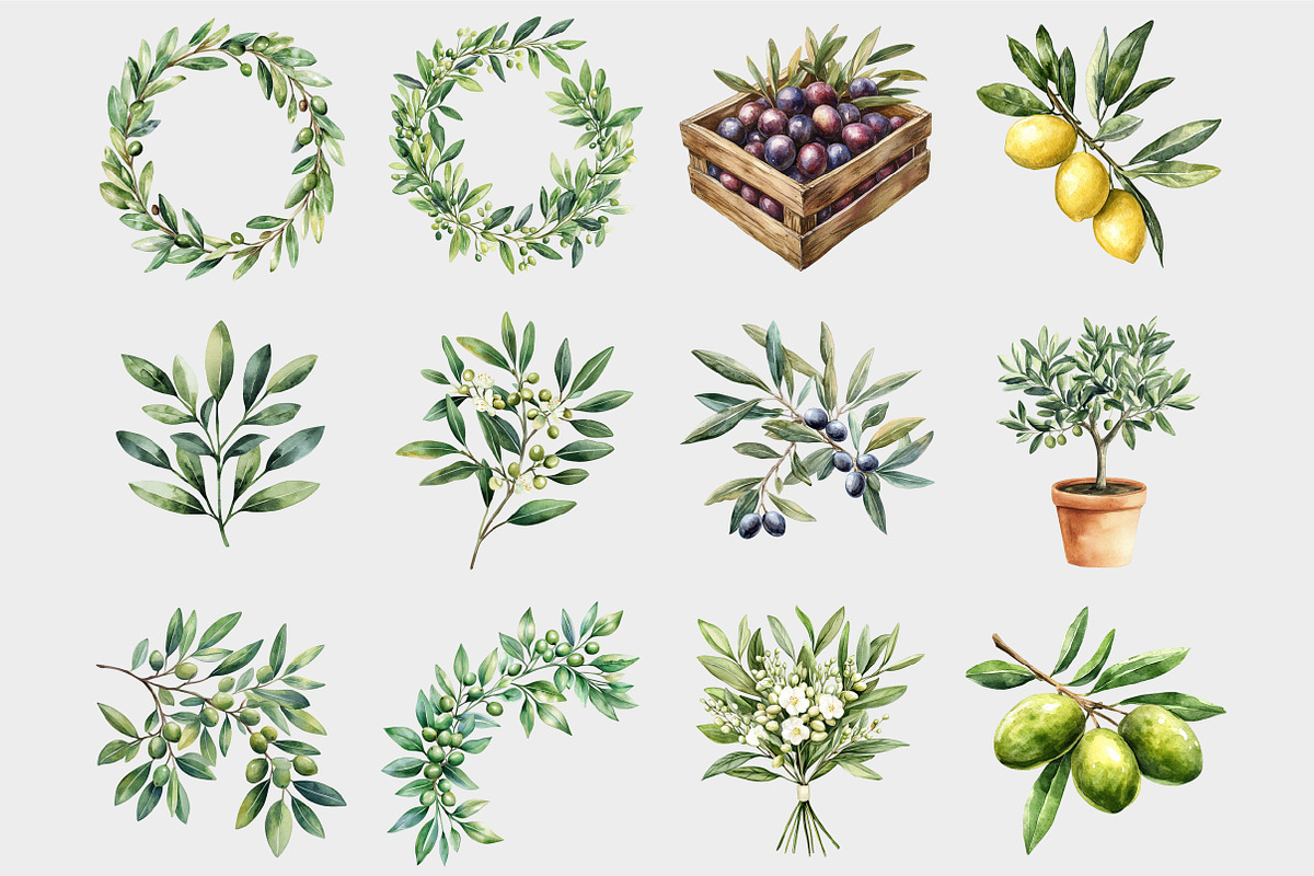 Watercolor Olive Clipart, a Seasonal Illustration by Design Market (Photo 4 of 5)