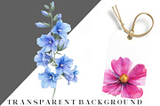 Wildflower Watercolor Flower Clipart, an Illustration by DreamCafeArt (Thumbnail 7 of 8)