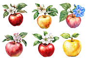 Watercolor Apples Floral Clipart, an Illustration by Designworld (Thumbnail 3 of 6)