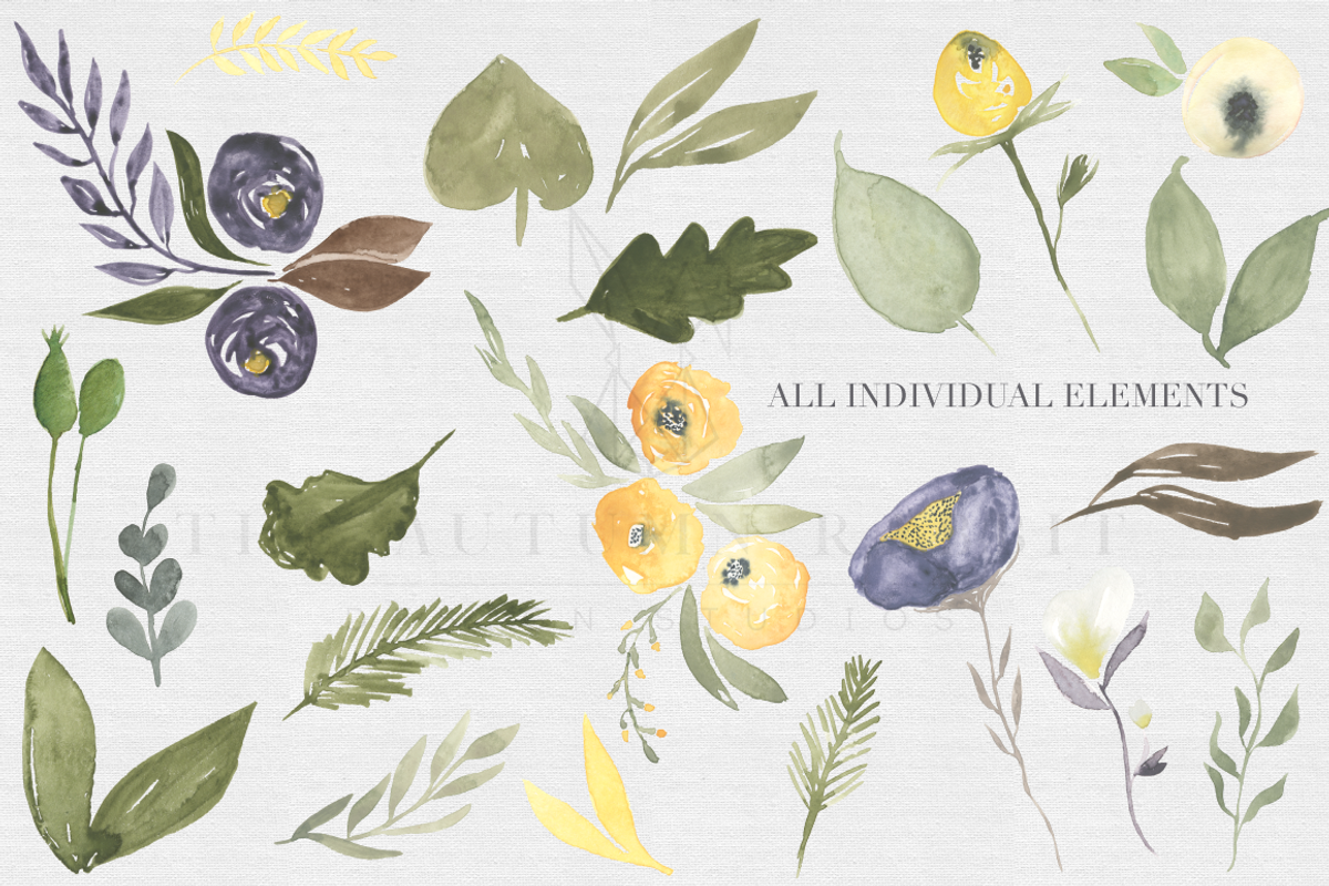 Mustard & wine Floral Clipart Set, an Illustration by The Autumn Rabbit Ltd (Photo 2 of 2)