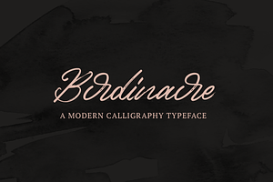 Birdinaire | Modern Calligraphy