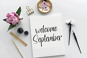 Shadow Vintage, a Handwritten Font by InermediaSTUDIO (Thumbnail 7 of 8)