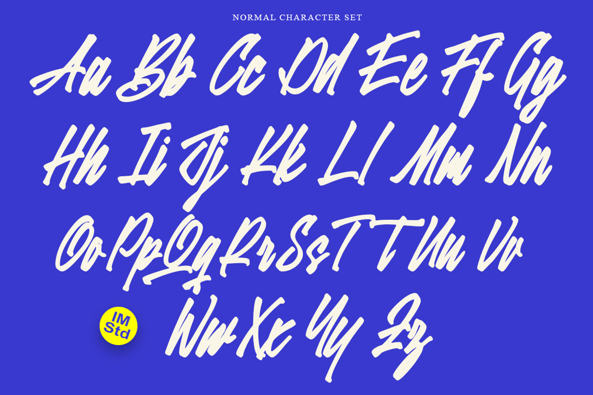 Lettering Editorial + Swashes, a Script Font by IM Studio (Photo 5 of 9)