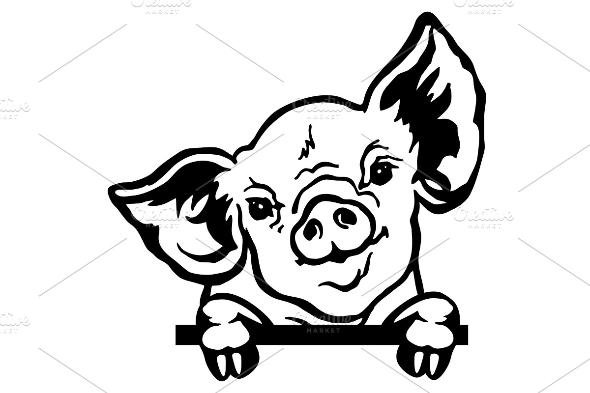Peeking Piglet - Funny Farm Animal -, an Animal Illustration by Digital-Clipart