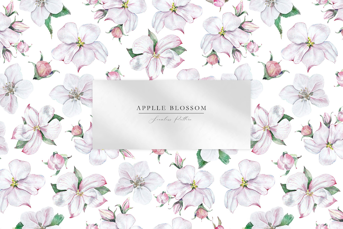 Apple Blossom, a Decorative Illustration by Olga Koelsch (Photo 6 of 9)