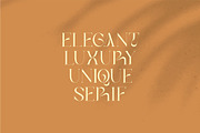 Bilea - Unique Brilliant Font, a Serif Font by suhadidesign (Thumbnail 7 of 14)