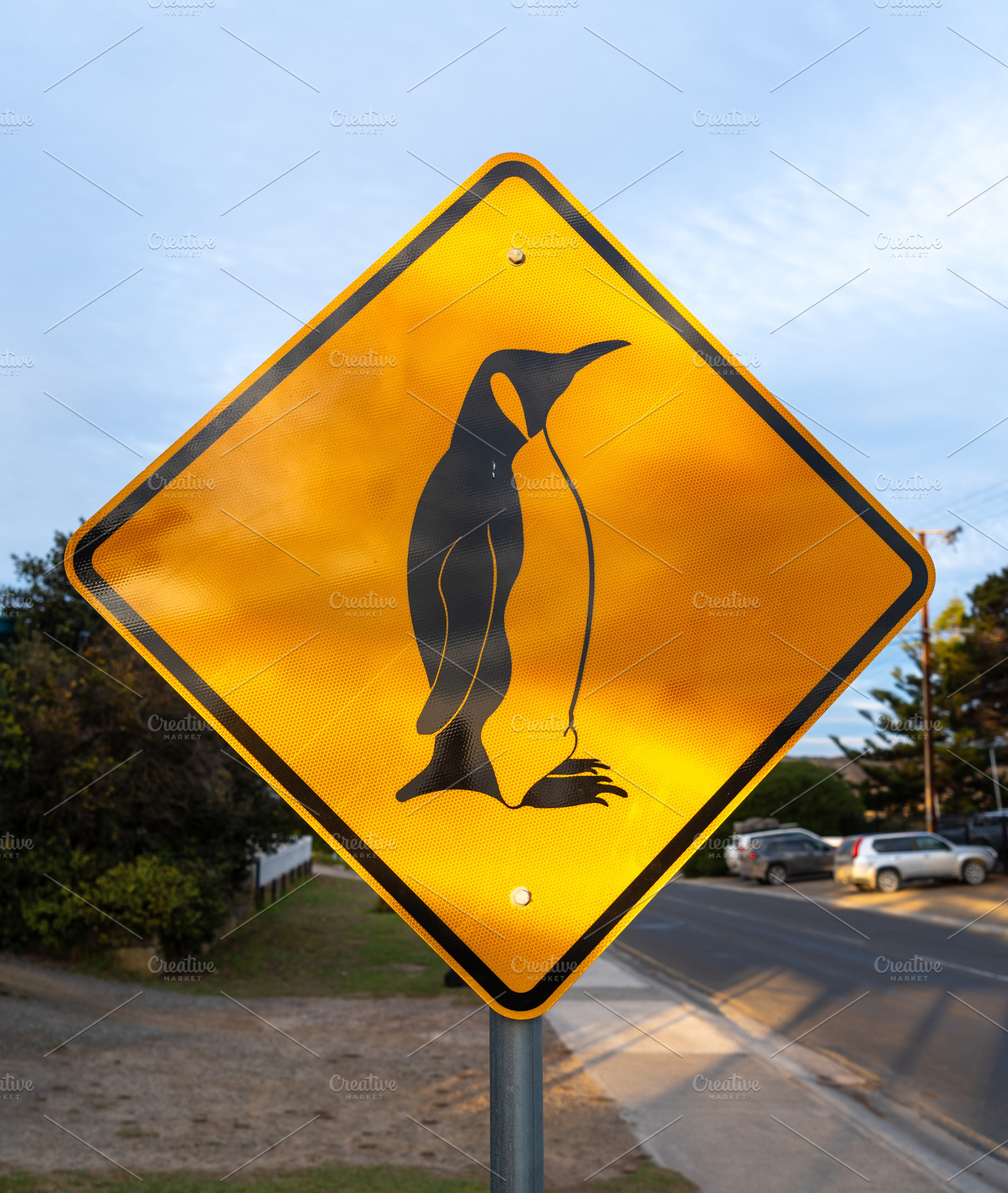 Penguin crossing warning sign on a coastal road, Kangaroo Island, an Animal Photo by GoodGoods
