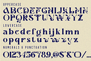 Celestial Planting - Modern Serif, a Serif Font by 177Studio (Thumbnail 8 of 8)
