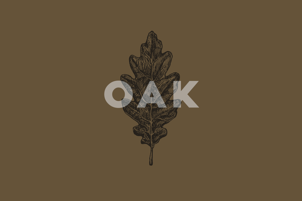 20 Leaves Illustrations, an Illustration by Dopestype (Photo 3 of 5)