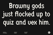 CS Arpheus – Display Sans Serif, a Sans Serif Font by Craft Supply Co. (Thumbnail 5 of 8)