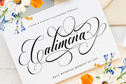 Barlimena Script, a Script Font by IM Studio (Thumbnail 8 of 13)