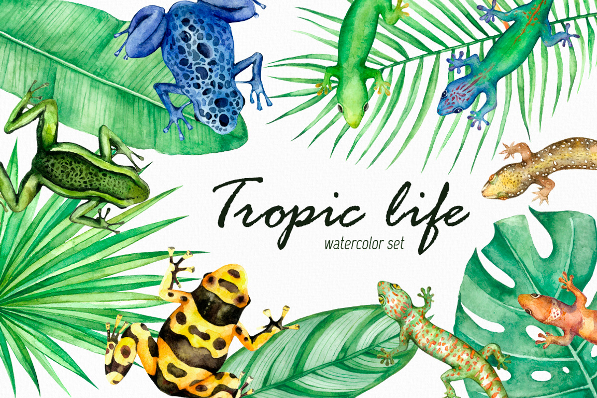 Tropic life Watercolor set, an Animal Illustration by Green_leaf_17 (Photo 1 of 6)