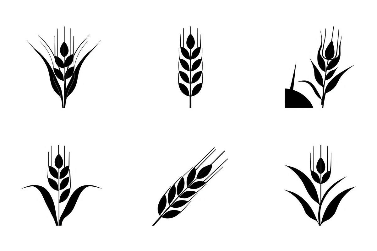 Rustic Wheat Silhouette Design, an Illustration by hafijul (Photo 7 of 9)