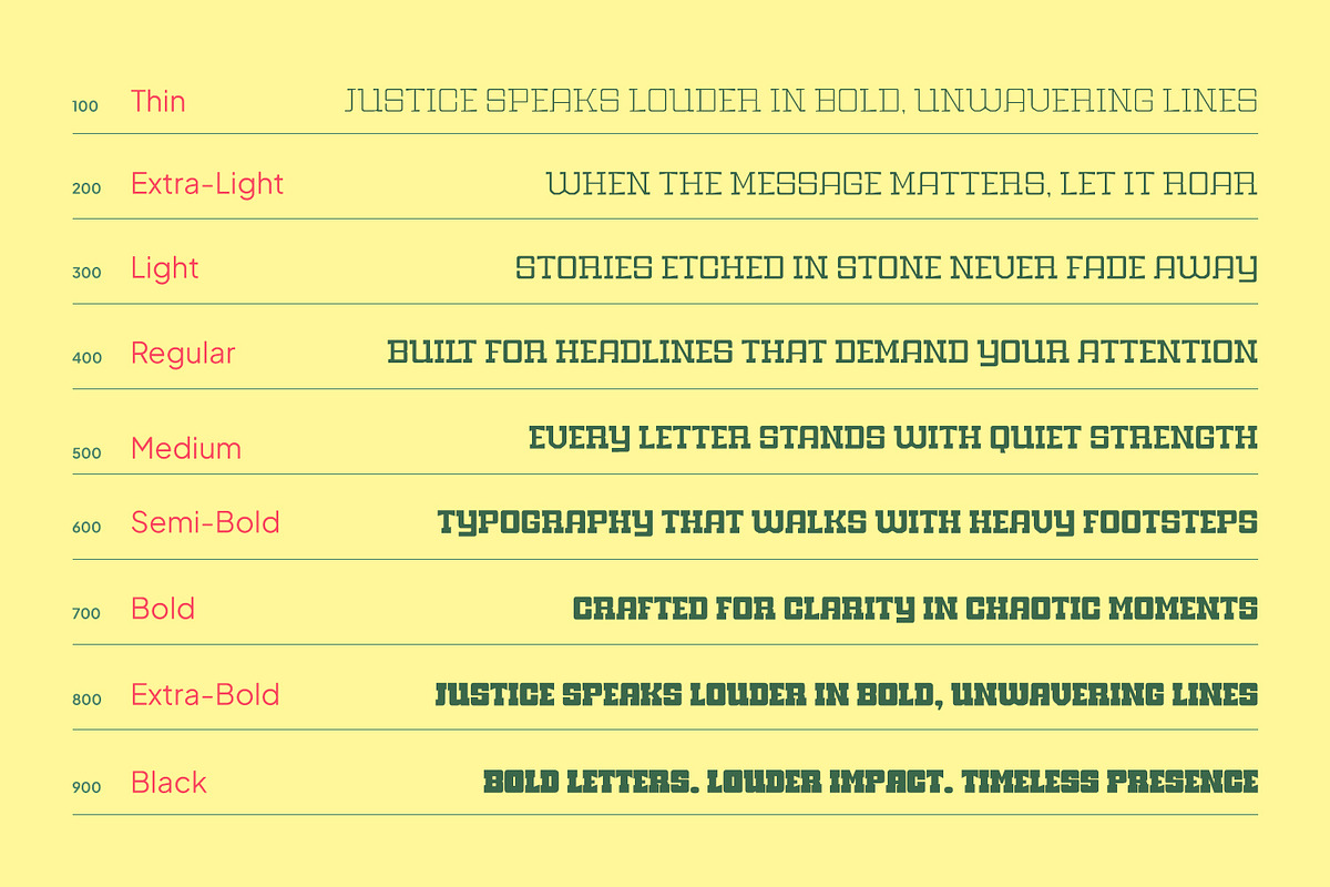 Witness, a Slab Serif Font by din-studio.com (Photo 5 of 15)