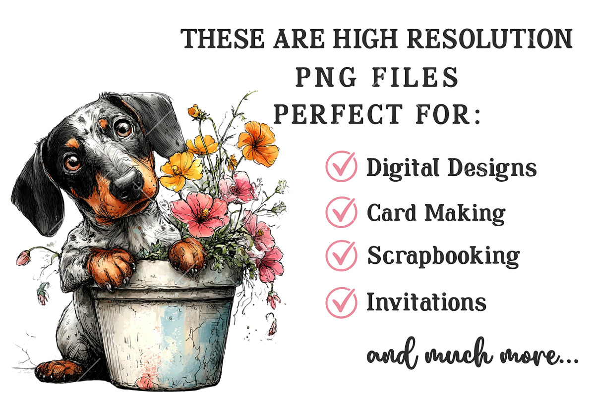 Whimsical Spring Dachshund Clipart, an Illustration by OK Design (Photo 4 of 6)
