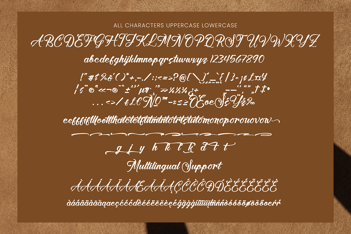 Satin Willots, a Script Font by operatype.co (Photo 8 of 8)