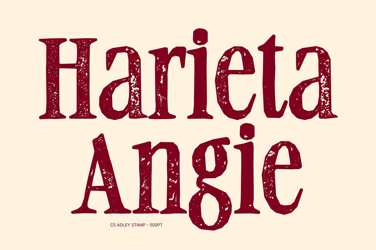 CS Adley Stamp, a Serif Font by Craft Supply Co. (Photo 3 of 8)