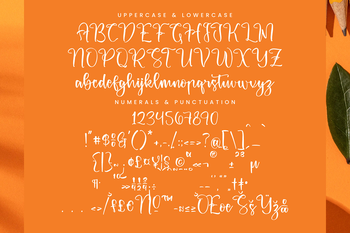 Dreams Pluffy, a Script Font by Integritype Studio (Photo 14 of 15)