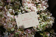 Coquette flowers & bows clip art, an Object Graphic by Cute Atelier (Thumbnail 7 of 9)