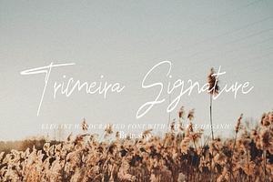 Trimeira Signature, a Handwritten Font by Eltypesstudio