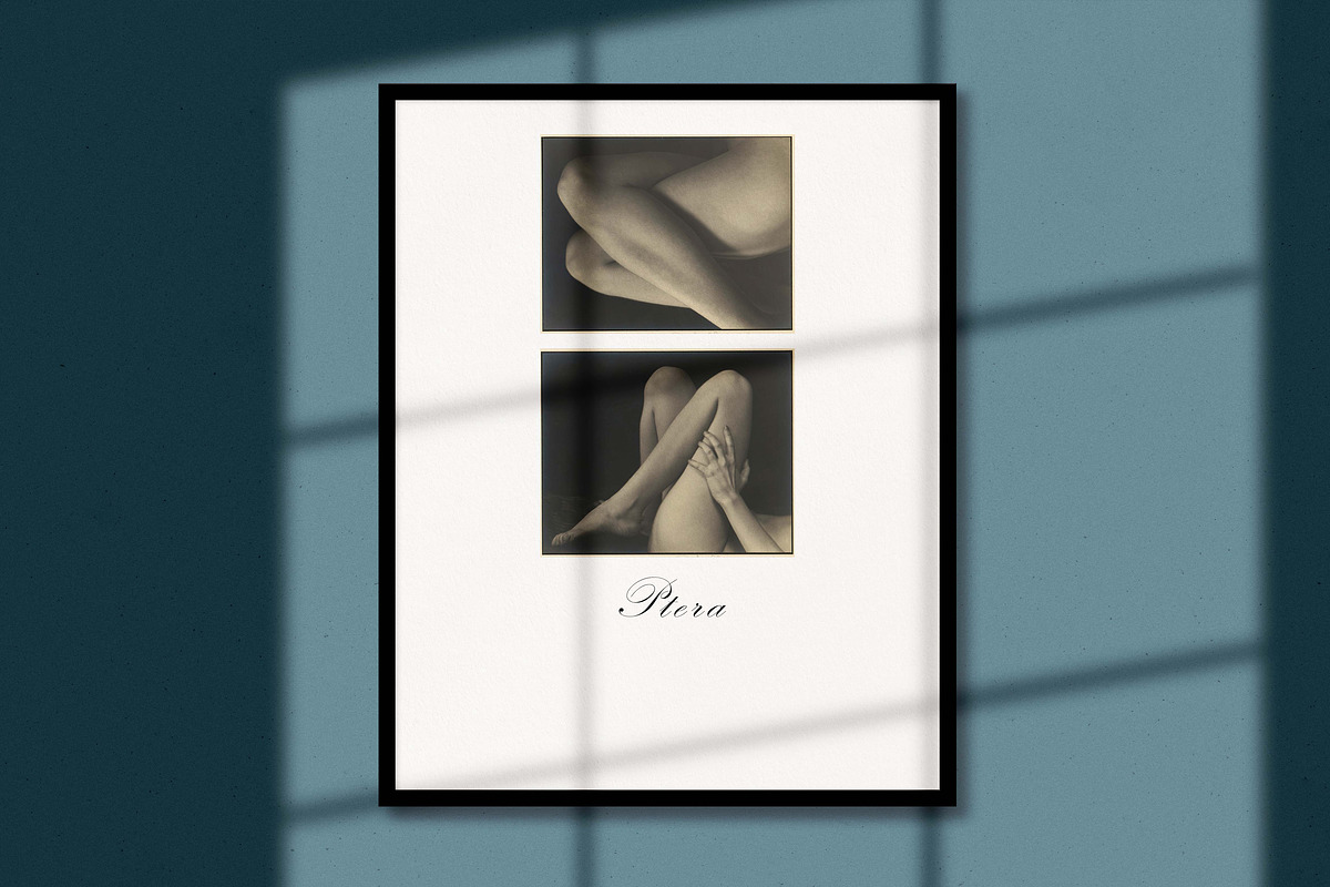 Ptera: All-in-One Poster Mockup Kit, a Print Template by Eugene Tantsurin (Photo 15 of 15)