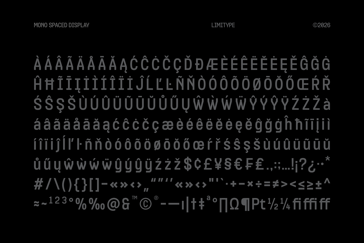Contair - Monospaced Font, a Sans Serif Font by limitype (Photo 11 of 12)