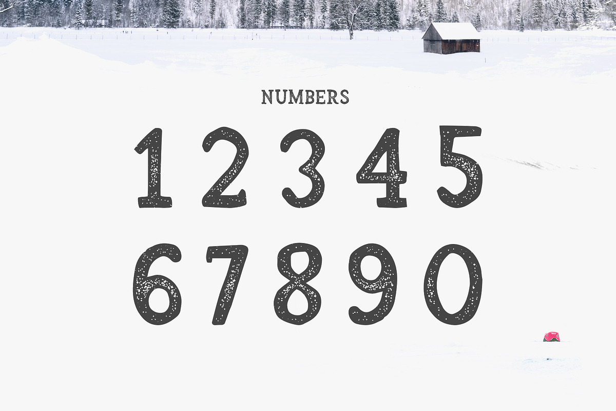 Arber Vintage font, a Script Font by Wild Ones (Photo 10 of 12)