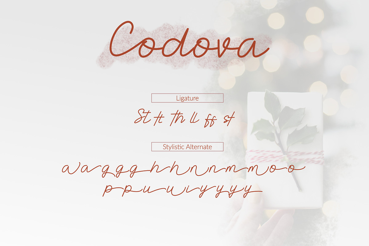 Codova Signature Font preview 6