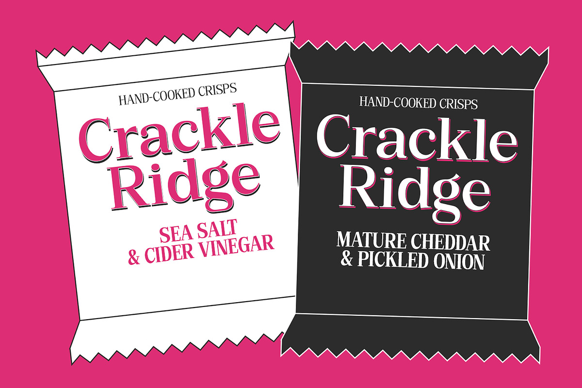 Bruchey Serif, a Serif Font by Fargun Studio (Photo 4 of 15)