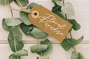 Silent Orchid, a Handwritten Font by Integritype Studio (Thumbnail 12 of 15)