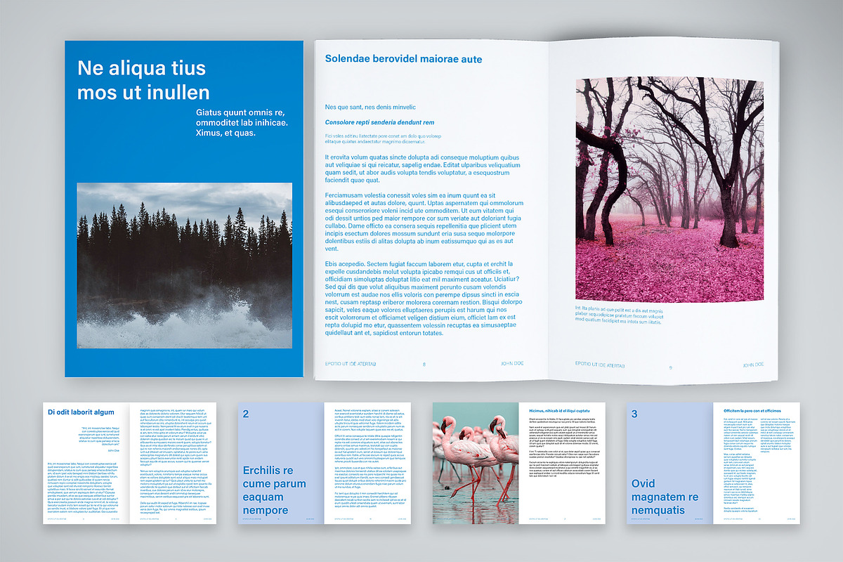 Cool Tone Editorial Template