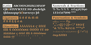 Auxerre, a Serif Font by ingoFonts (Thumbnail 8 of 8)