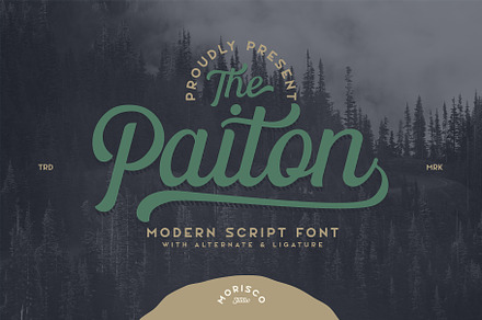The Paiton -Modern Script Font