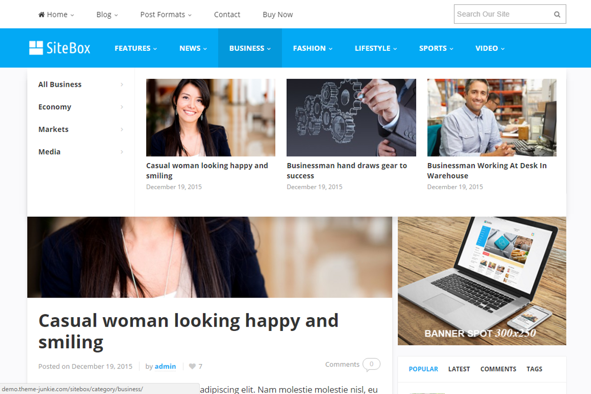 SiteBox WordPress Theme, a WordPress Template by Theme Junkie (Photo 4 of 4)