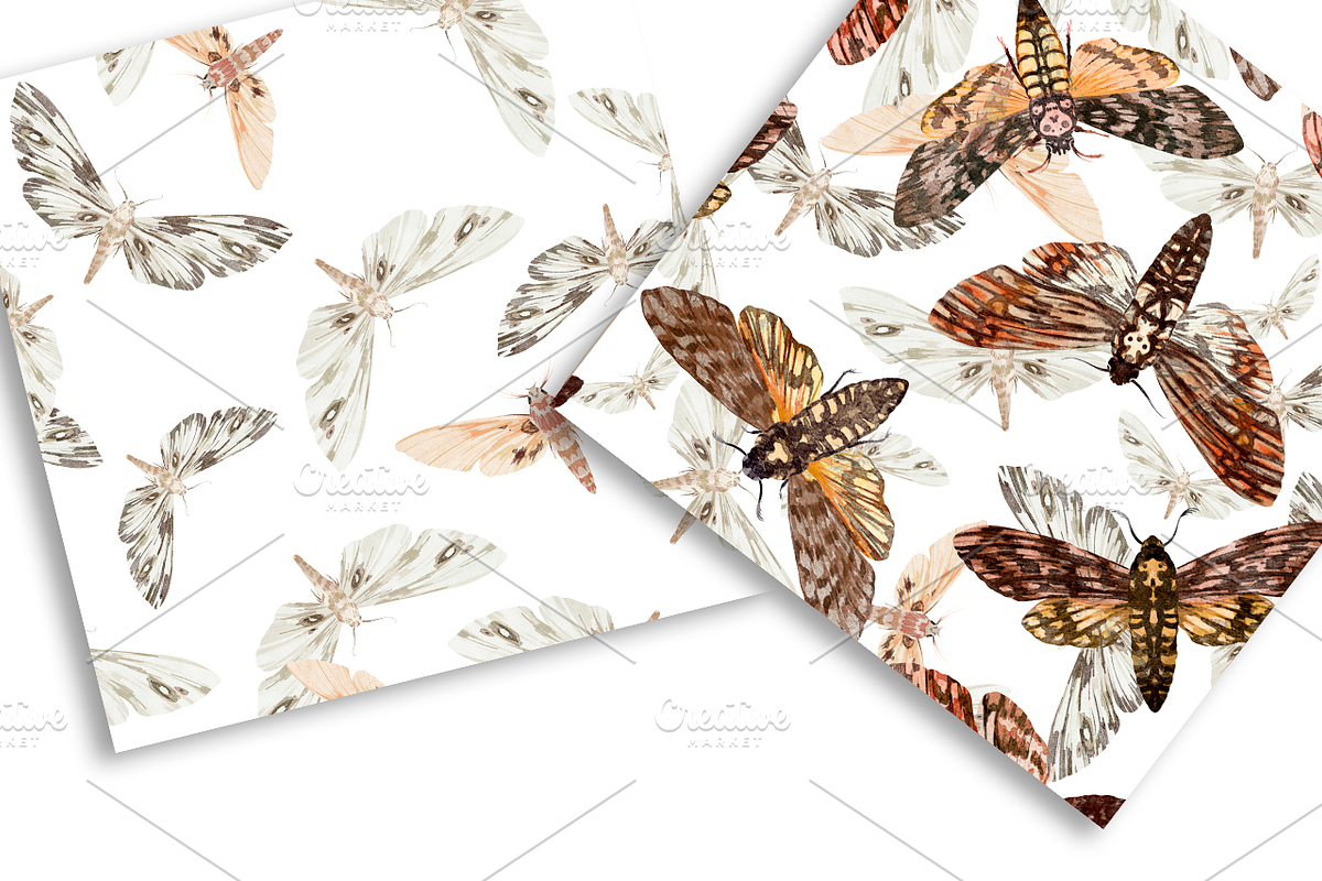 Night Moth. Watercolor Patterns, a Pattern Graphic by NKTKNS (Photo 4 of 7)